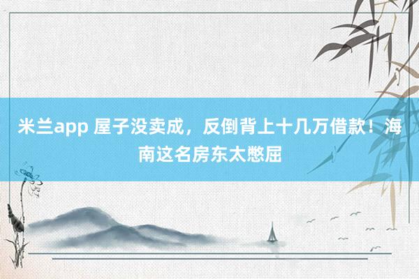 米兰app 屋子没卖成，反倒背上十几万借款！海南这名房东太憋屈