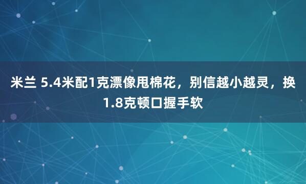 米兰 5.4米配1克漂像甩棉花，别信越小越灵，换1.8克顿口握手软