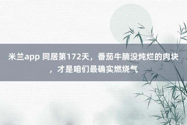 米兰app 同居第172天，番茄牛腩没炖烂的肉块，才是咱们最确实燃烧气