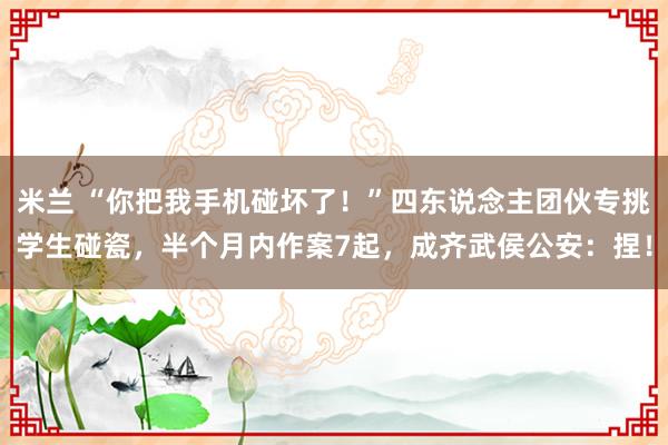 米兰 “你把我手机碰坏了！”四东说念主团伙专挑学生碰瓷，半个月内作案7起，成齐武侯公安：捏！