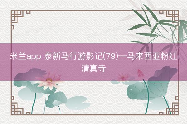 米兰app 泰新马行游影记(79)—马来西亚粉红清真寺